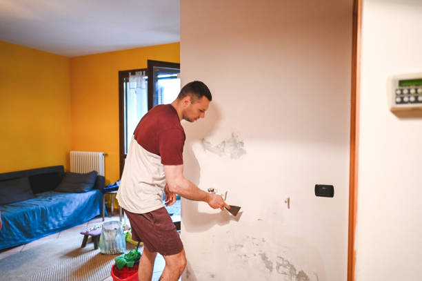 Best Water Damage Restoration  in Lynn, IN