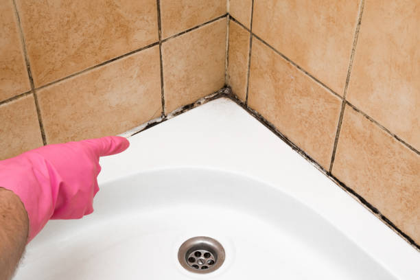 Best Local Mold Removal Service  in Lynn, IN